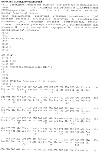 Полинуклеотид, кодирующий мутантную рекомбинантную iga1 протеазу neisseria meningitidis серогруппы в, рекомбинантная плазмидная днк, содержащая указанный полинуклеотид, клетка-хозяин, содержащая указанную плазмидную днк, рекомбинантная iga1 протеаза neisseria memingitidis серогруппы в, способ получения зрелой формы iga1 протеазы (патент 2486243)