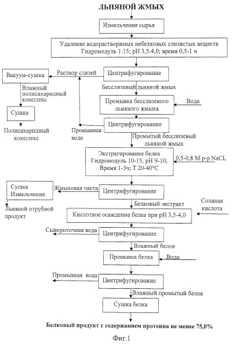Способ получения белка из жмыха семян льна (патент 2437552)