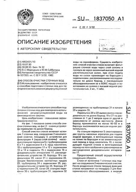 Способ очистки сточных вод (патент 1837050)