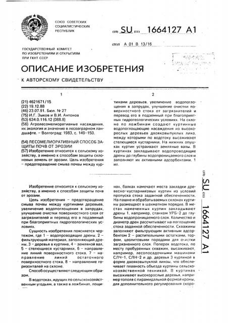 Лесомелиоративный способ защиты почв от эрозии (патент 1664127)