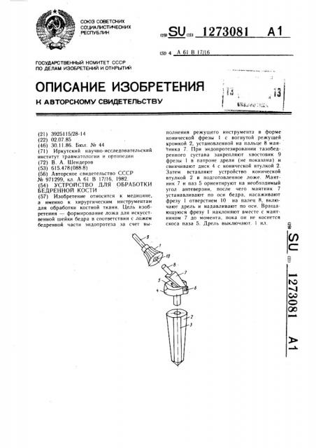 Устройство для обработки бедренной кости (патент 1273081)