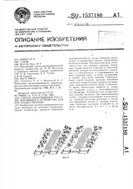 Способ выкапывания рассады земляники и устройство для его осуществления (патент 1537180)