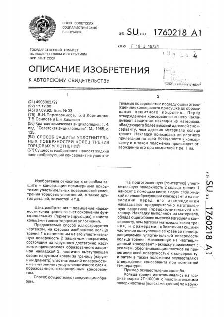 Способ защиты уплотнительных поверхностей колец трения торцовых уплотнений (патент 1760218)