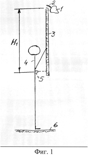 Способ измерения высоты листа дерева от почвы (патент 2589487)