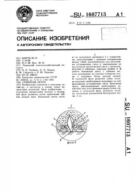 Семенная лента (патент 1607713)