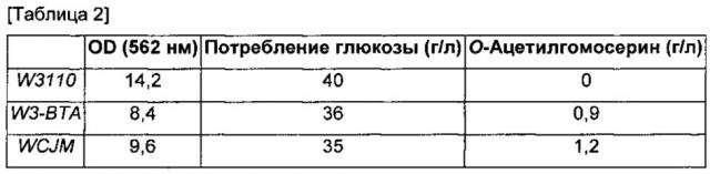 Микроорганизм, продуцирующий о-ацетилгомосерин, и способ получения о-ацетилгомосерина с использованием этого микроорганизма (патент 2614253)