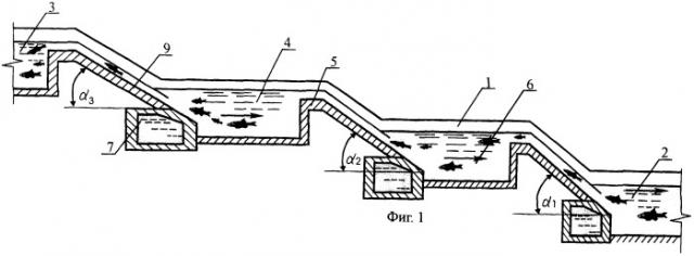 Рыбоход (патент 2245420)