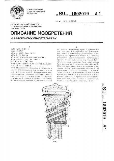 Хирургическая компрессирующая пластина (патент 1502019)