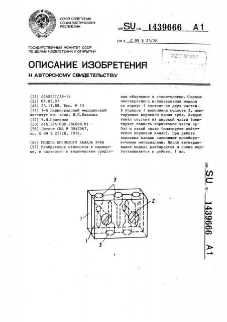 Модель корневого канала зуба (патент 1439666)