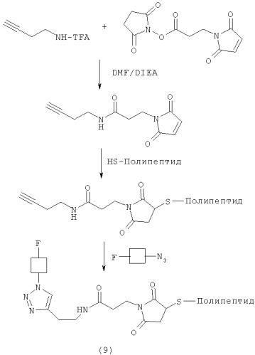 Селективное введение радиоактивной метки в биомолекулы (патент 2491958)