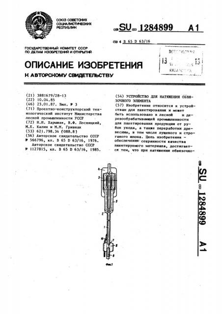 Устройство для натяжения обвязочного элемента (патент 1284899)