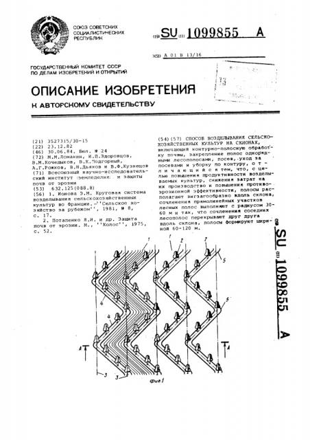 Способ возделывания сельскохозяйственных культур на склонах (патент 1099855)