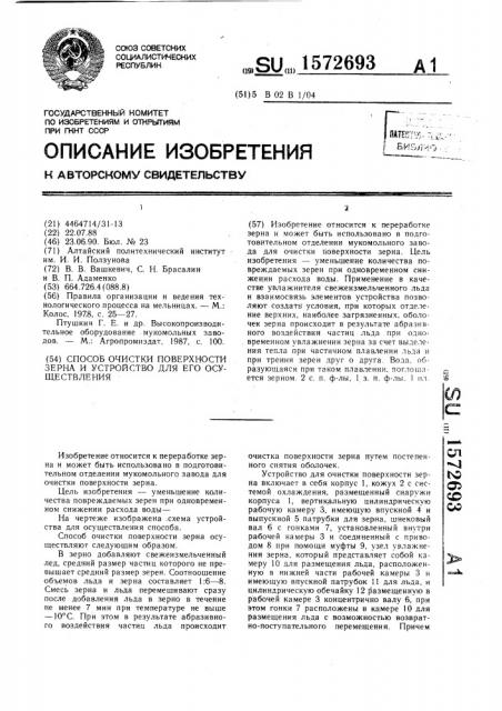 Способ очистки поверхности зерна и устройство для его осуществления (патент 1572693)