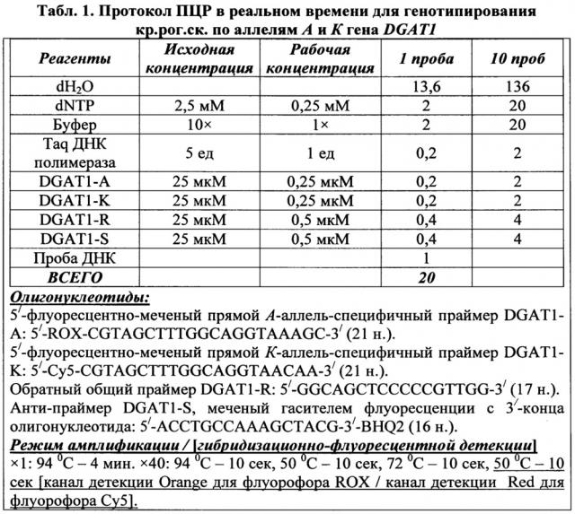 Способ проведения пцр в реальном времени для генотипирования крупного рогатого скота по аллелям а и к гена dgat1 (патент 2619167)