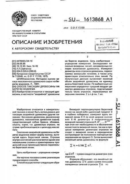 Способ таксации древесины на берегах водоема (патент 1613868)