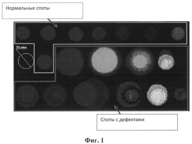 Способ печати биологических лигандов в процессе изготовления биочипов (патент 2543145)