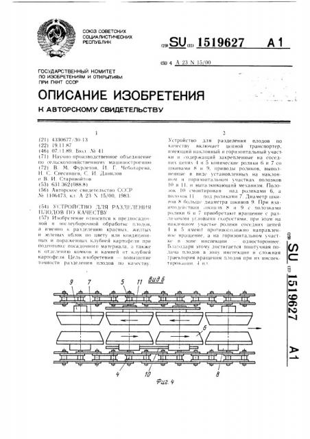 Устройство для разделения плодов по качеству (патент 1519627)