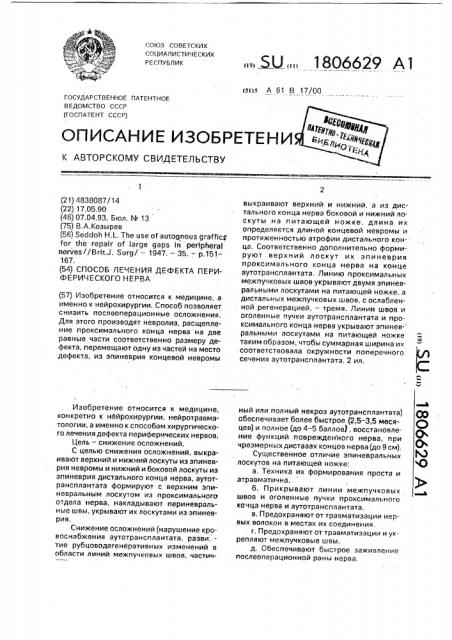 Способ лечения дефекта периферического нерва (патент 1806629)