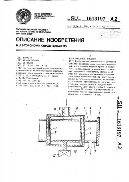 Роторный аппарат (патент 1613197)