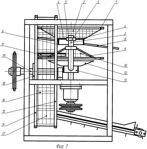 Устройство для разделения корнеклубнеплодов на фракции роторно-чашечного типа (патент 2441359)