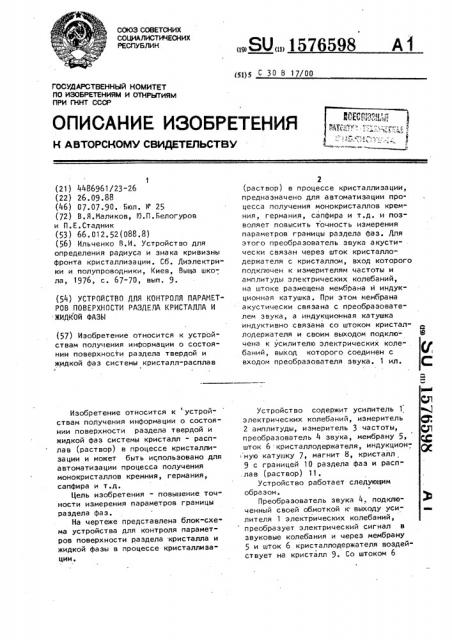 Устройство для контроля параметров поверхности раздела кристалла и жидкой фазы (патент 1576598)