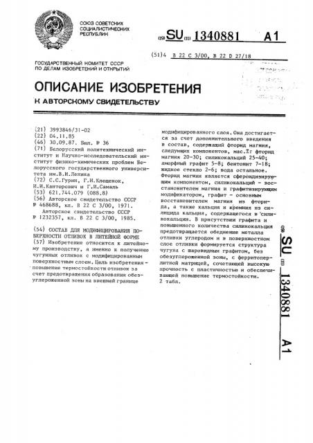 Состав для модифицирования поверхности отливок в литейной форме (патент 1340881)