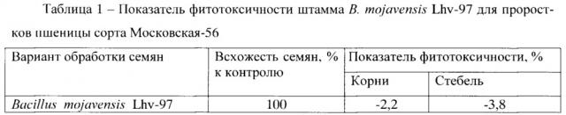 Штамм bacillus mojavensis lhv-97, обладающий фунгицидной и бактерицидной активностью (патент 2648163)