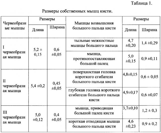 Способ восстановления противопоставления первого пальца при повреждении локтевого нерва (патент 2645966)