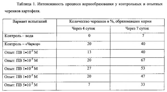 Способ размножения картофеля зелеными черенками, обладающими повышенной жизнеспособностью (патент 2584417)