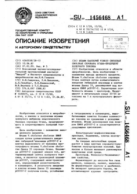 Штамм бактерий viвriо сноlеrае сноlеrае серовара огава- продуцент холерного токсина (патент 1456468)