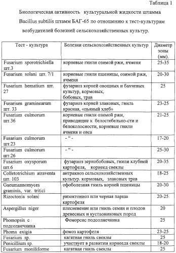 Препарат для защиты растений от возбудителей болезней сельскохозяйственных культур и винограда с ростстимулирующим эффектом, способ получения этого препарата и штаммы для его осуществления (патент 2313941)
