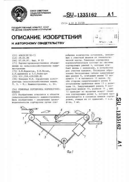 Ременная сортировка корнеклубнеплодов (патент 1335162)