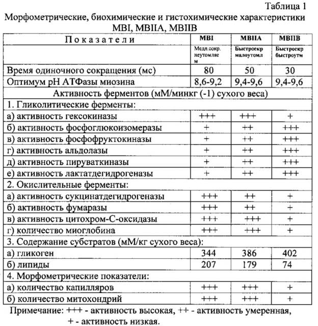 Способ оценки типов мышечных волокон (патент 2628810)