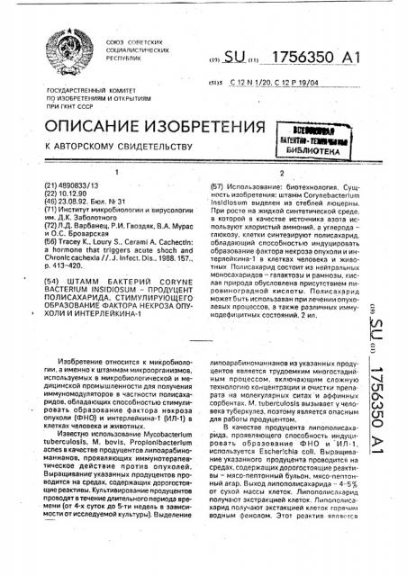 Штамм бактерий соrynевастеriuм insidiоsuм - продуцент полисахарида, стимулирующего образование фактора некроза опухоли и интерлейкина-1 (патент 1756350)