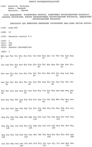 Выделенная нуклеиновая кислота, кодирующая флуоресцентный биосенсор, кассета экспрессии, клетка продуцирующая флуоресцентный биосенсор, выделенный флуоресцентный биосенсор (патент 2515903)