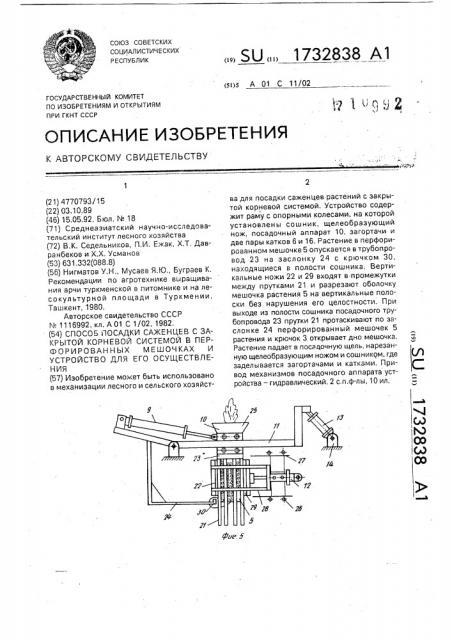 Способ посадки саженцев с закрытой корневой системой в перфорированных мешочках и устройство для его осуществления (патент 1732838)