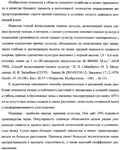 Способ возделывания яровой пшеницы предпочтительно в зоне светло-каштановых почв нижнего поволжья (варианты) (патент 2348137)