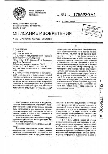 Способ хранения изолированной почки (патент 1756930)