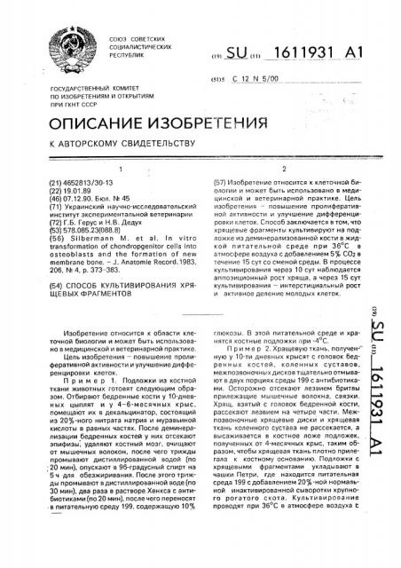 Способ культивирования хрящевых фрагментов (патент 1611931)