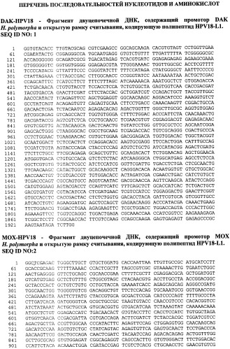 Рекомбинантный штамм дрожжей hansenula polymorpha - продуцент главного капсидного белка l1 вируса папилломы человека типа 18 (патент 2546242)
