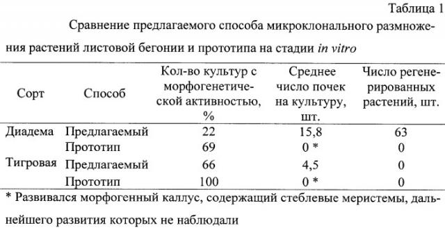 Способ микроклонального размножения листовой бегонии (патент 2290786)