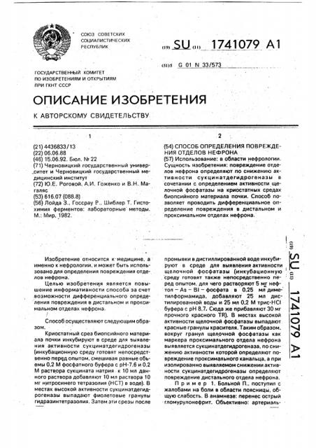 Способ определения повреждения отделов нефрона (патент 1741079)