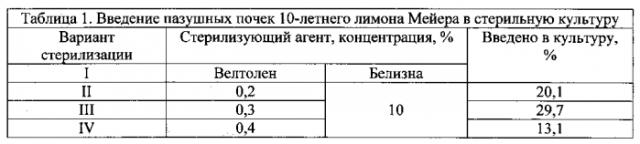 Способ культивирования лимона in vitro (патент 2580033)