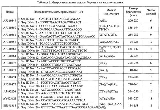Способ молекулярного маркирования, основанный на микросателлитных локусах, предназначенный для идентификации генотипов березы (патент 2646112)