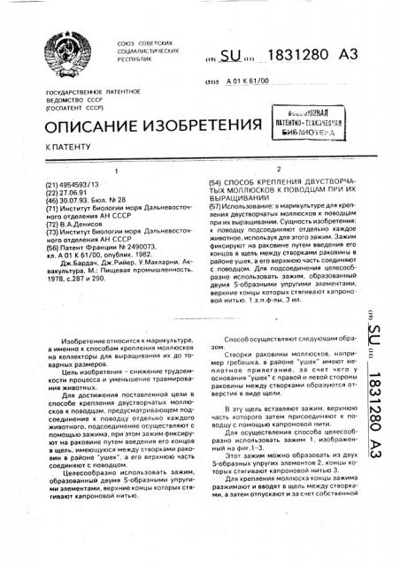 Способ крепления двустворчатых моллюсков к поводцам при их выращивании (патент 1831280)