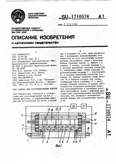 Камера для культивирования клеток (патент 1710574)