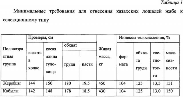 Способ отбора казахских лошадей жабе для селекционного процесса (патент 2648148)