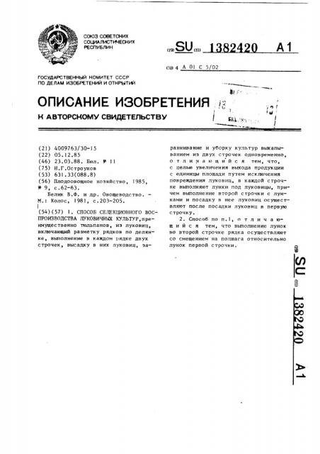 Способ селекционного воспроизводства луковичных культур (патент 1382420)
