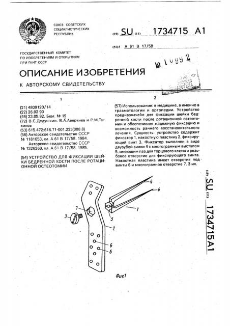 Устройство для фиксации шейки бедренной кости после ротационной остеотомии (патент 1734715)