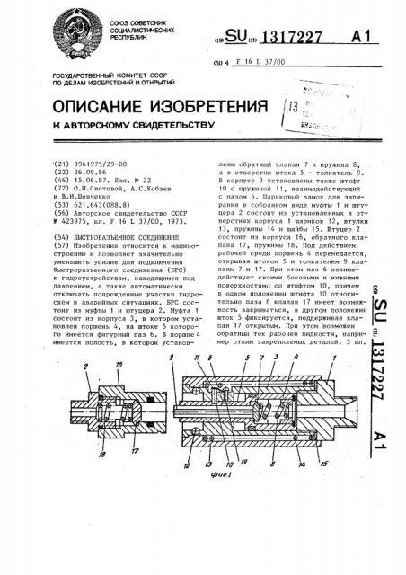 Быстроразъемное соединение (патент 1317227)